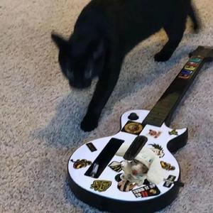 少妇被狂C下部❌羞羞漫画
