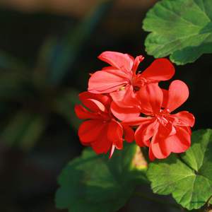 少妇被狂C下部❌羞羞漫画
